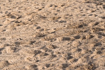 Sand background. Natural background