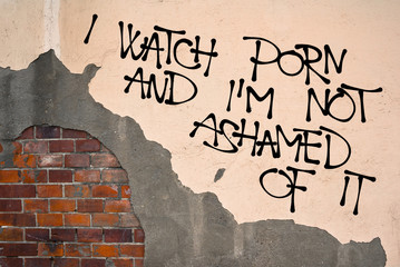 I Watch Porn And I Am Not Ashamed Of It - handwritten graffiti sprayed on the wall, anarchist...