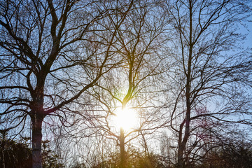 Morning sun in UK winter