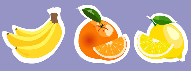 Set of vector colorful fruits stickers.