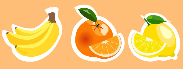 Set of vector colorful fruits stickers.