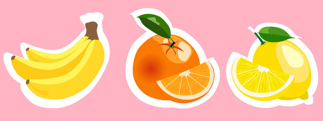 Set of vector colorful fruits stickers.