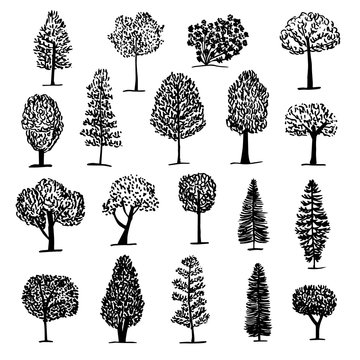 Set of trees icon, sketch style