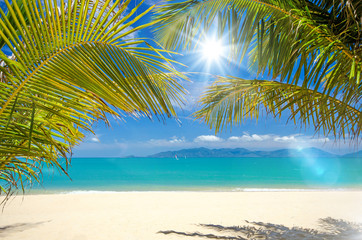 Fototapeta na wymiar Auszeit, Entspannung, Urlaub, Ferien: einsamer, idyllischer Traumstrand in der Karibik :)