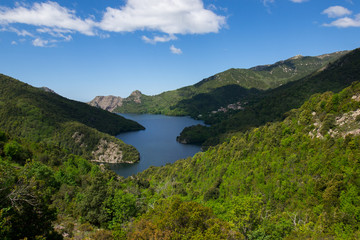 Fototapeta na wymiar Lac de Tolla, Korsika