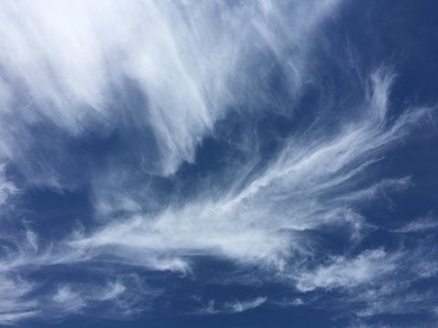 volo
