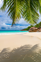 Fototapeta na wymiar Tropical beach. The Seychelles