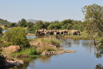 Hluhluwe Nationalpark
