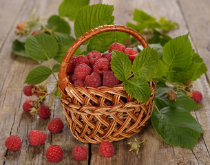 Fresh raspberries in a basket