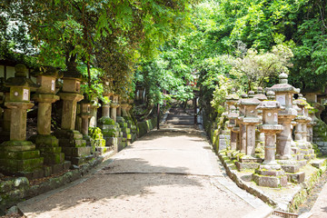 Fototapeta na wymiar Stone lanterns to Kasuga shrine in Nara, Japan