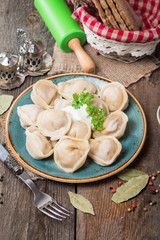 Homemade Meat Dumplings - russian pelmeni