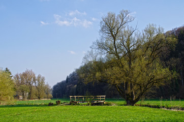 Obraz premium Brückle am Fluß