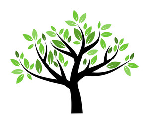 Obraz premium Stylized vector tree