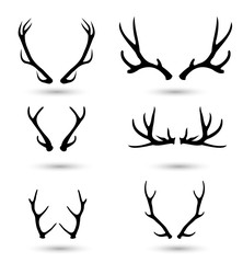 Antlers set vector