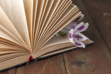 Open book on light table. Back to school. Copy space