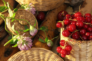 Red currant in wattled busket against background branches