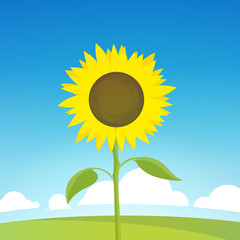 Sunflower on Landscape Illustration of Nature Farm