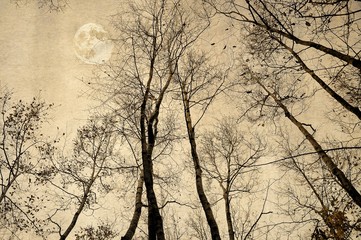 Vintage bare trees and full moon in sepia tones