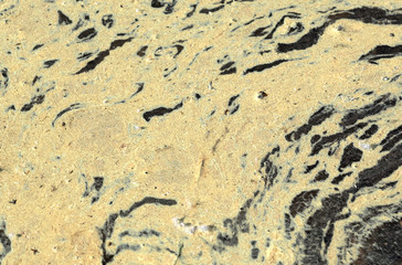 Pollen scum floating on salt water