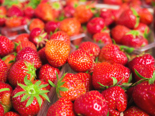 Erdbeeren