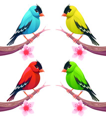 Group of birds in different color tones