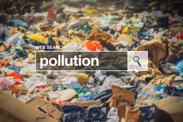 Pollution in internet browser search box