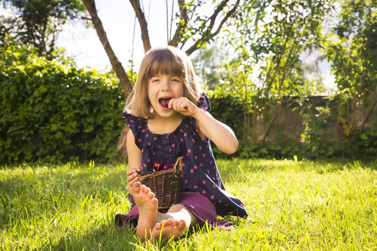 Little girl with punnet of cherries sitting on a meadow in the garden