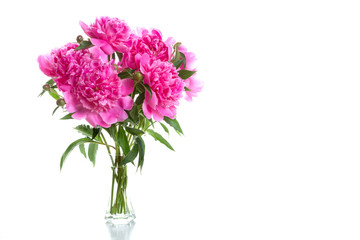 Bouquet of pink peonies