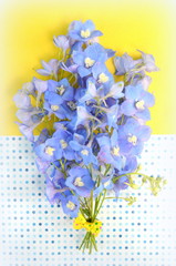 Букет голубого дельфиниума - поздравительный букет 