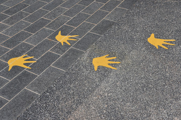Avian Footmarks on A Walking Path