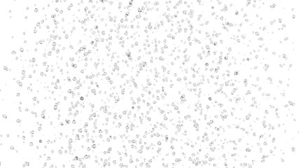 Many water drops on white background - 3D Rendering