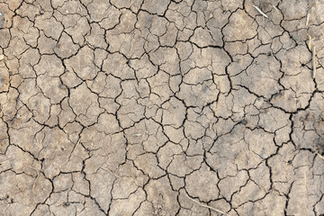 cracked dry ground