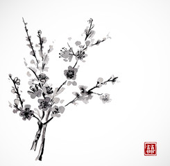 Sakura in blossom. Traditional Japanese ink painting sumi-e. Contains hieroglyph - double luck.