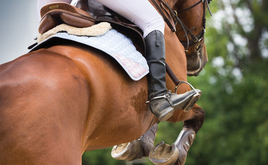 Horse riding dressage