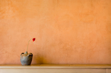 Hintergrund – Wand mit ocker pigmentierter Kalkfarbe antikem Tonkrug und Mohnblume - Background -...