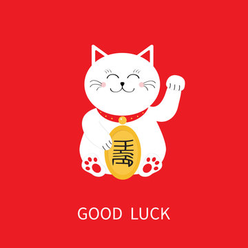 Is a white 2024 cat good luck