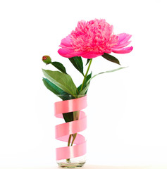 pink peony flower in a vase of glass with a ribbon on a white background. not isolate