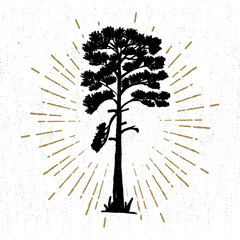 Hand drawn icon with a textured pine vector illustration.