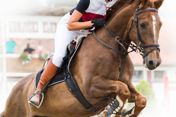 Horse jumping show