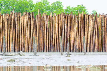 Fototapeta premium man made bamboo wall