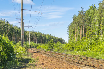 Fototapeta na wymiar Railroad in the forest