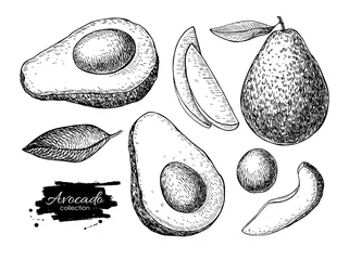 Foto op Plexiglas Vector hand drawn detailed avocado set. Sketch illustrations © Maria.Epine