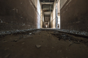 Cernobyl