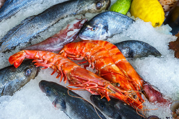 fresh seafood in the fridge of the seafood restaurant in Crete, Greece