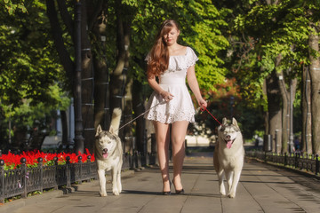 Naklejka na ściany i meble oung girl walking down the street with two dogs. A girl in a white dress. Siberian Huskies.