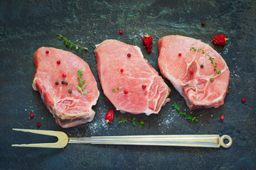 Raw fresh meat, spices and fork on dark background