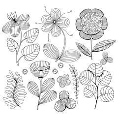 Beautiful Flowers set. Vector Illustration.
