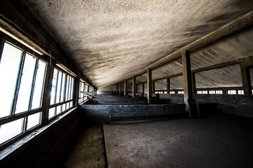 Cernobyl