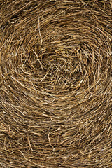Swirly rice straw