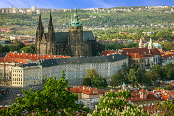 Naklejka premium Prague Castle and Saint Vitus Cathedral, Czech Republic. 